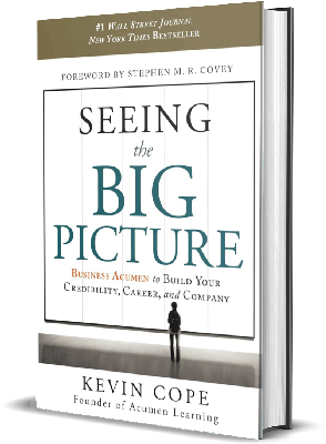 Seeing-the-Big-Picture-Book-1